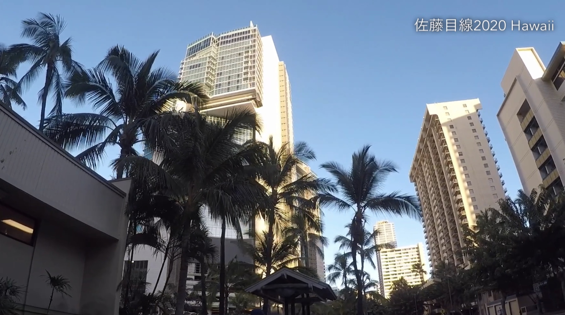 佐藤目線2020 Hawaii -Waikiki散歩編-